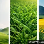 에코디자인 포트폴리오 작성법 - Here are three detailed image prompts in English, inspired by the principles of eco-design and susta...